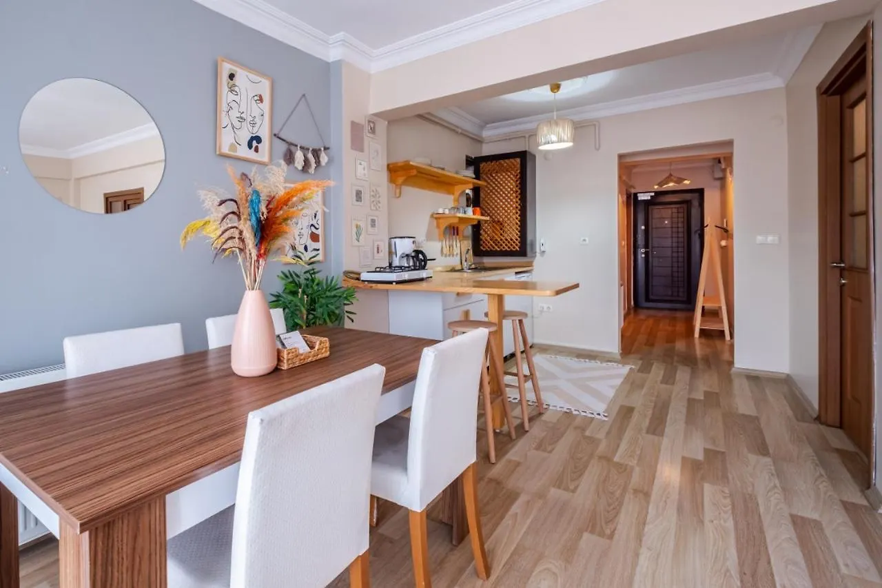 Colorful Modern Flat With City View 5-Min Walk To Istiklal Avenue In Beyoglu Istanbul